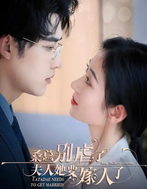 回声档案犯罪悬疑剧全集在线观看